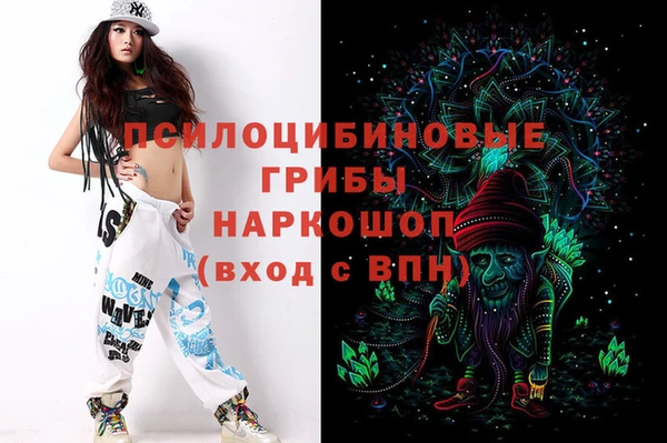 амф Козловка
