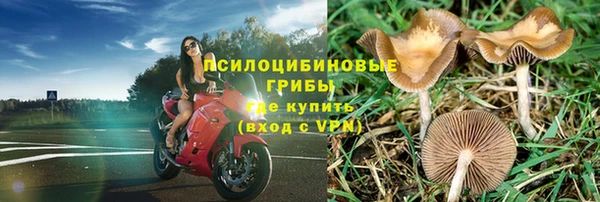 ALPHA PVP Новокубанск