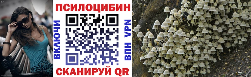 Псилоцибиновые грибы Psilocybe  Свирск 